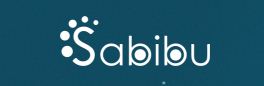 SABIBU es una potente aplicación capaz de contactar personas y empresas especialistas en diferentes servicios profesionales