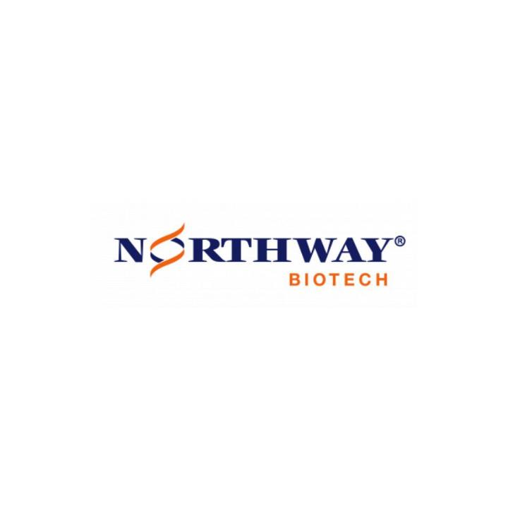 Northway Biotech lanza estudios de depuración viral, con resultados más rápidos que el resto del sector