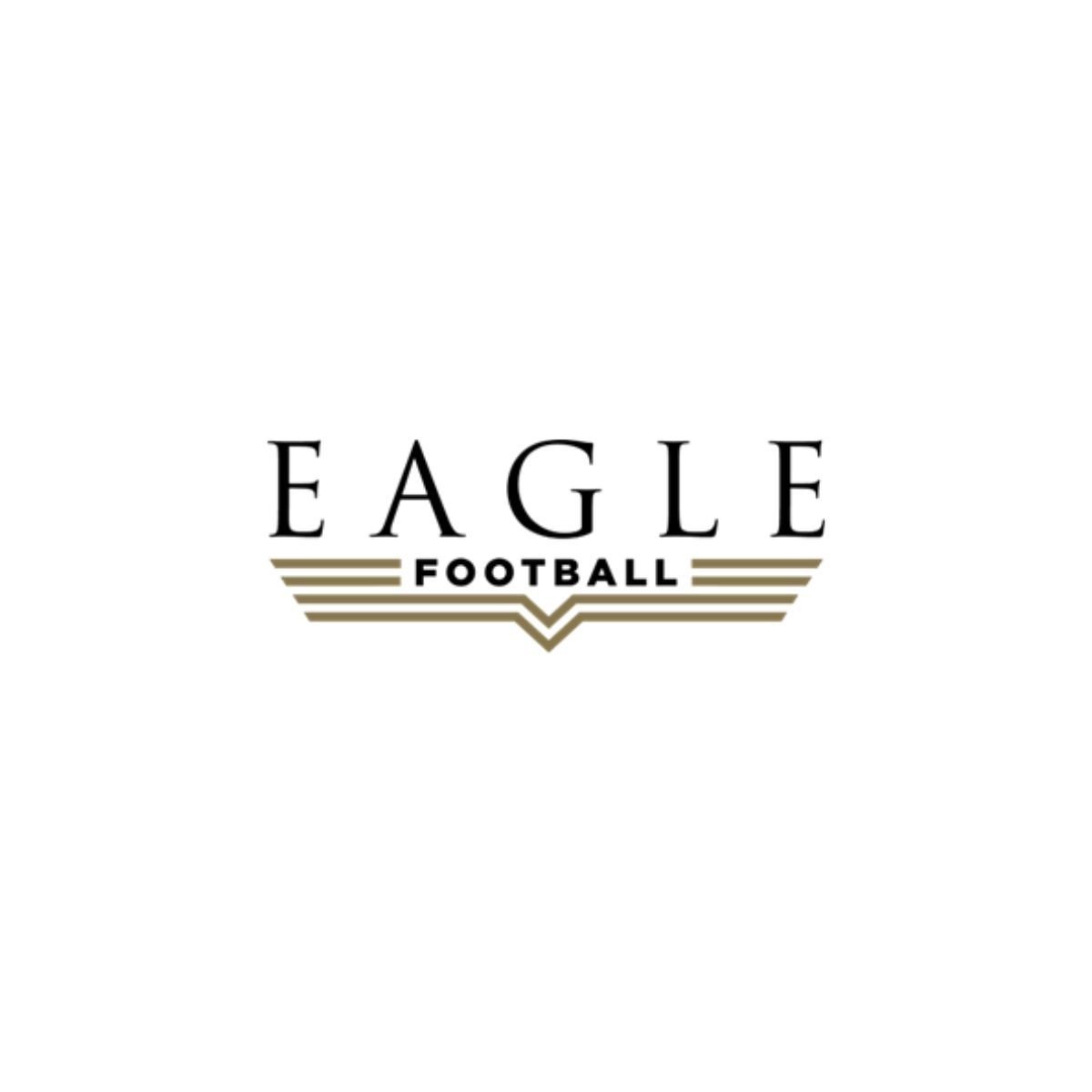 John Textor, Presidente Eagle Football, felicita al Olympique Lyonnais por su clasificación para Ligue 1